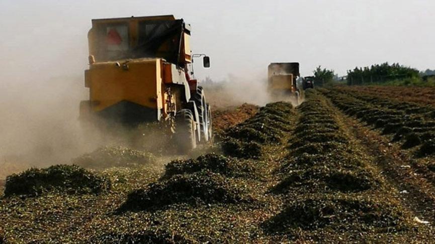Kuraklık desteği açıklandı: 30 TL, çiftçiler tepkili