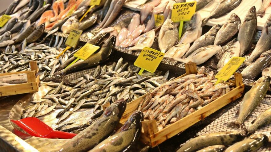 Balıklar tezgahlarda yerini aldı: Hangi balık nerede, ne kadar?