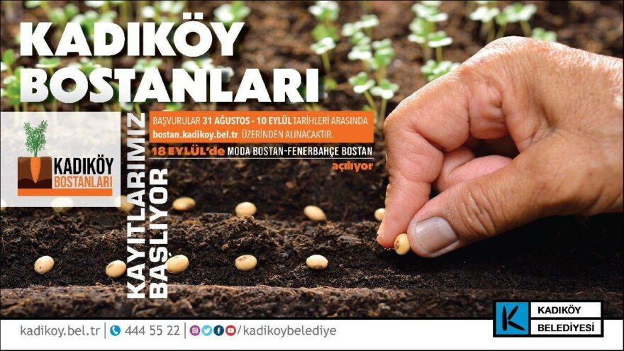 İstanbul’un göbeğinde ekolojik tarım: Kadıköy bostanları