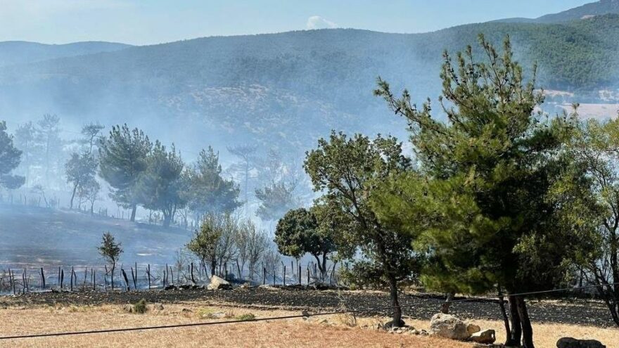 Bakan Pakdemirli: Çanakkale’deki orman yangını kontrol altına alındı