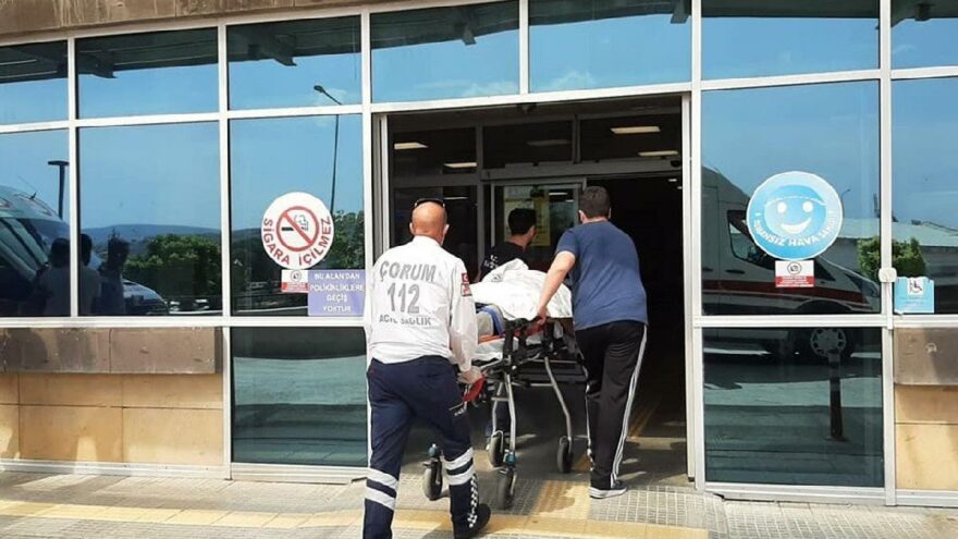 Elini ve ayağını bağladığı yaşlı adamı darbedip ormanlık alana attı