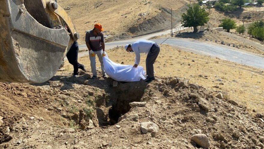 Elazığ’da etrafa saçılan kemikler yeniden defnedildi