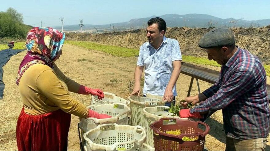 Elektrik borcunu ödeyemeyen çiftçi sıkıntıda
