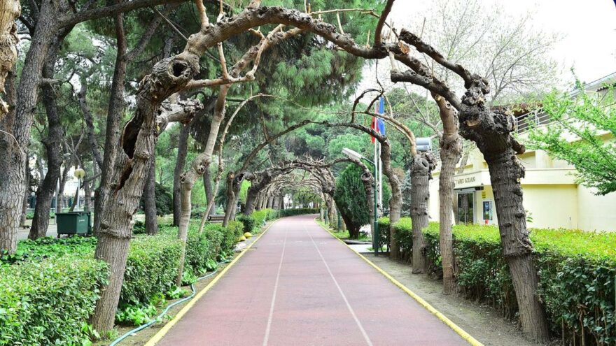 Kültürpark florası kaybolmaya yüz tuttu