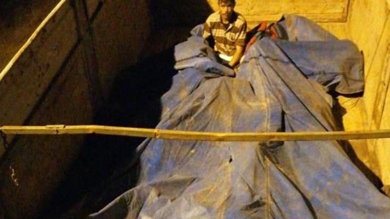 Branda altına gizlenmiş göçmenler yakalandı