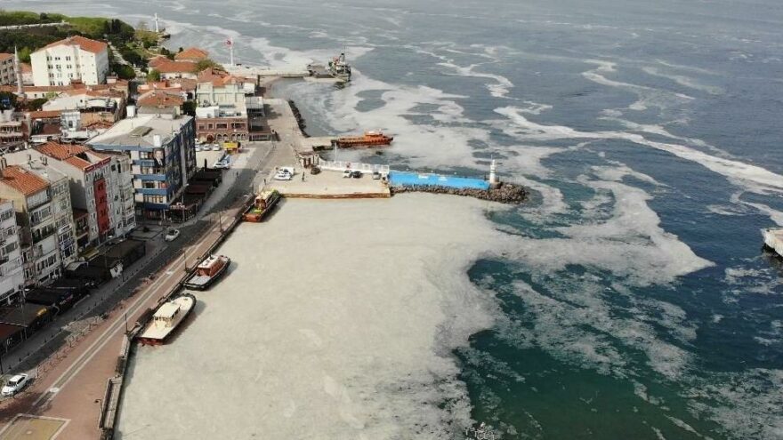 Meclis Araştırma Komisyonu müsilajı yerinde inceleyecek