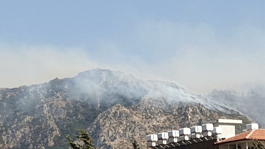 Hatay’da orman yangını