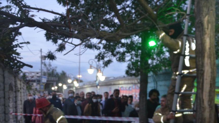 Ağaç dalı rüzgarın etkisiyle kırılarak kablolara takıldı