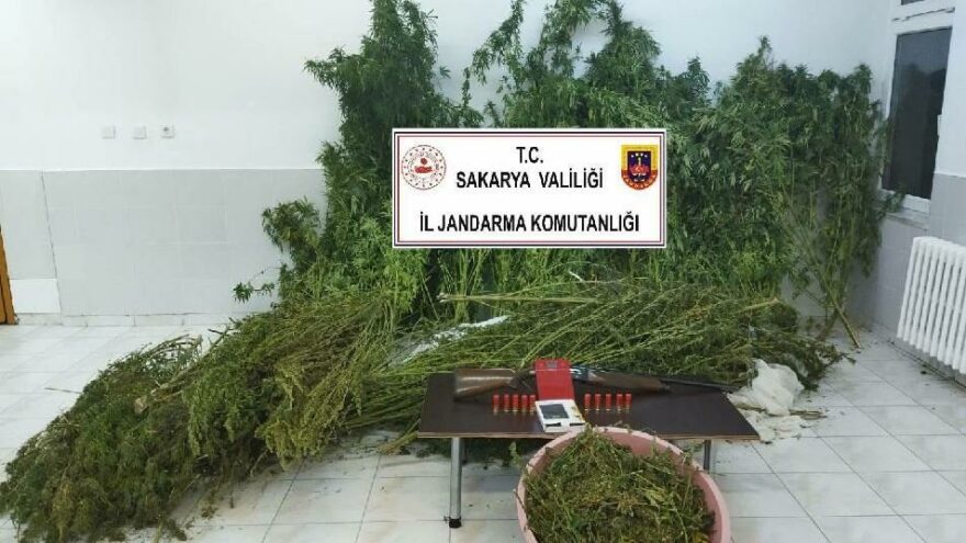 Tavuk çiftliğini uyuşturucu üretimhanesine çevirdi