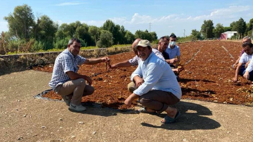 Üzüm fiyatı için AKP-MHP sessiz, CHP kızgın