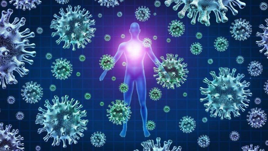 Nipah virüsü belirtileri neler, nasıl bulaşır?