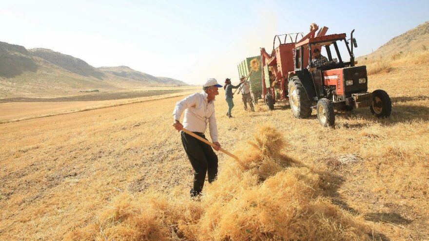 Çiftçiden esirgenen alım fiyatı ithalata mecbur bıraktı