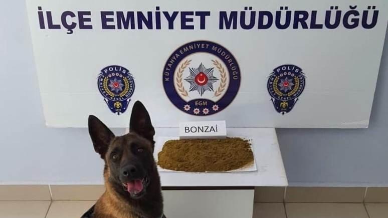Kütahya’da uyuşturucu operasyonu