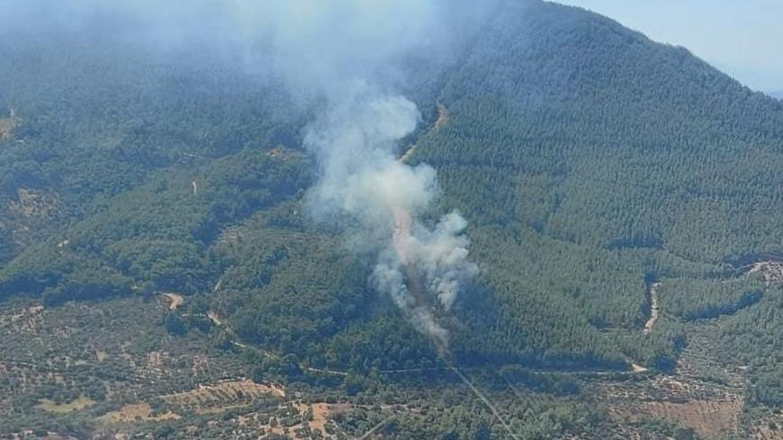 Kemalpaşa’da orman yangını