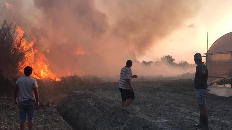 Hatay’da sazlık alanda yangın korkuttu
