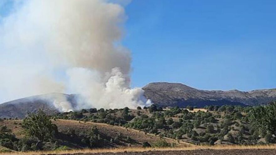 Ankara’da orman yangını
