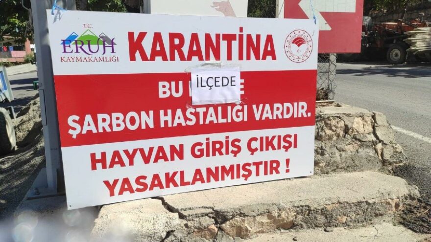 Siirt’te hayvan giriş çıkışları yasaklandı