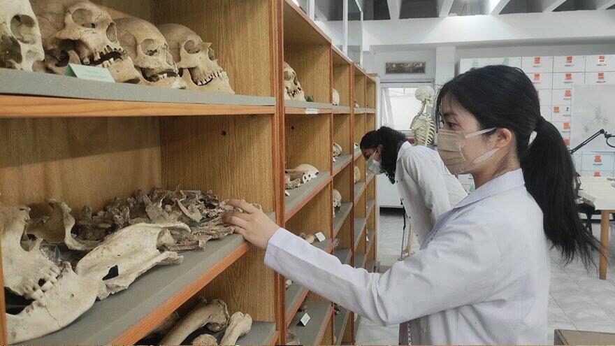 Antik DNA analizleri tarihe ışık tutuyor