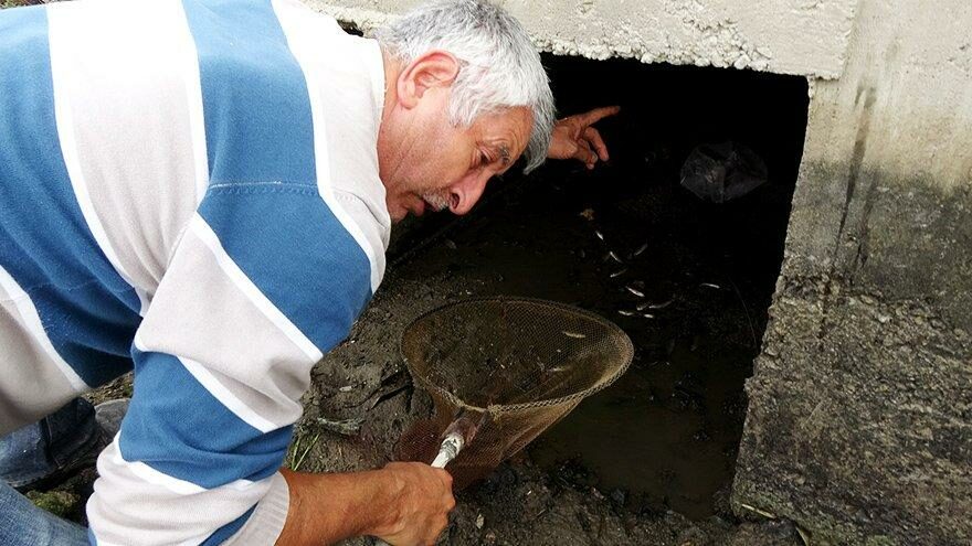 Balıkları ölümden böyle kurtardı