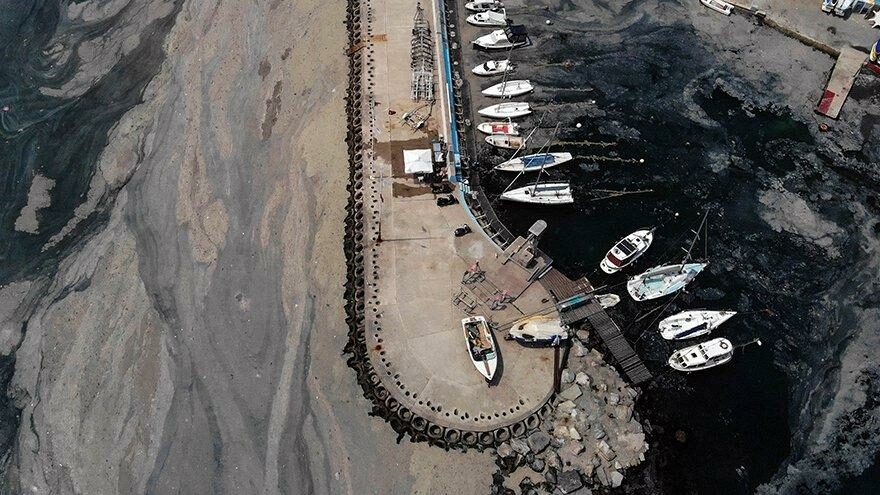 Marmara’da müsilaj incelemesi: Bu seneki manzarayı arayacağız