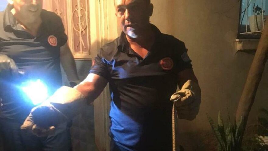 Mutfağa giren kadın gördüğü manzara sonrası kendini dışarı zor attı