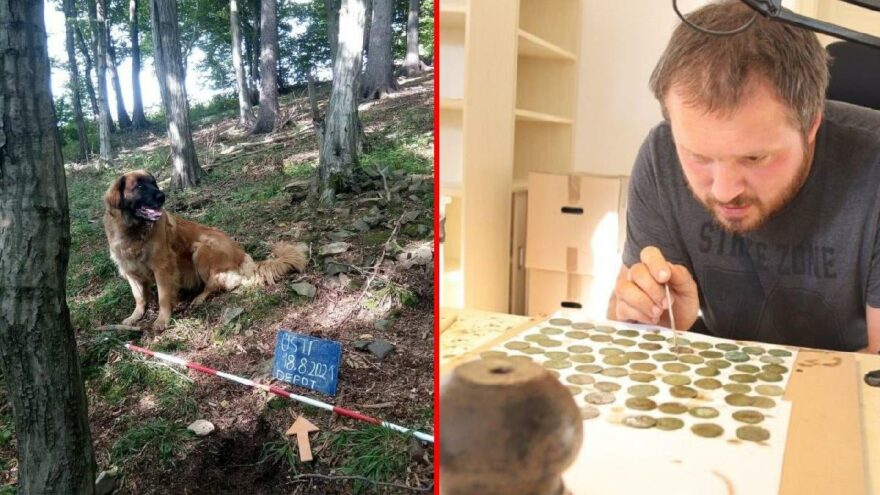 Gezmeye çıkardığı köpeği hazine buldu