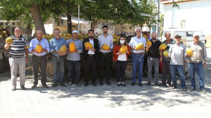 Denizli’de kavun üreticisi isyan etti: Tam sömürü düzeni