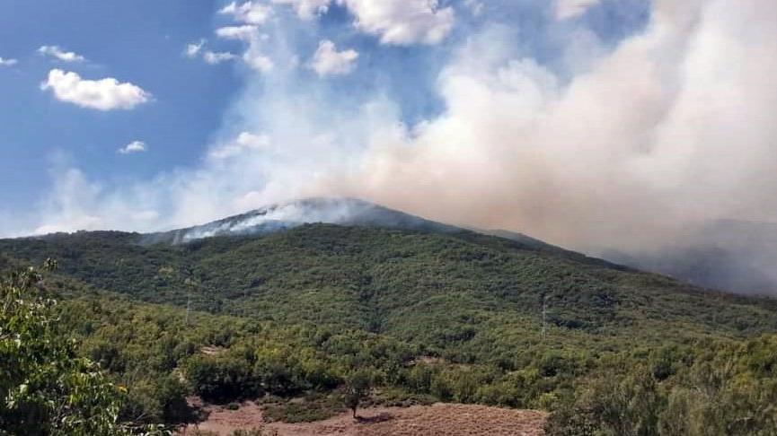 Tunceli’de yangın! Havadan müdahale ediliyor