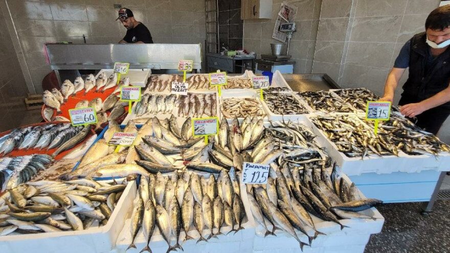Karadeniz’de palamut da bollaştı