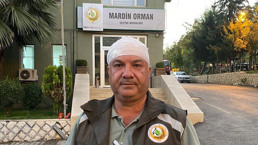Kaçak ağaç kesimi yapanlara işlem yapan orman görevlilerine saldırı