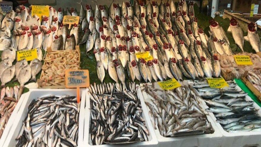 Hamsinin halden sofraya yolculuğu