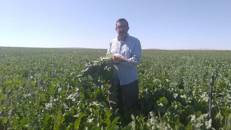 Üreticiden açıklanan şeker pancarı alım fiyatına tepki