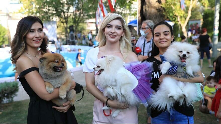 Sokak hayvanları için festivalde buluştular