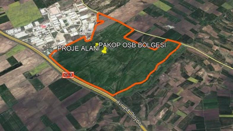 Buğday, ayçiçeği yerine plastik üretilecek