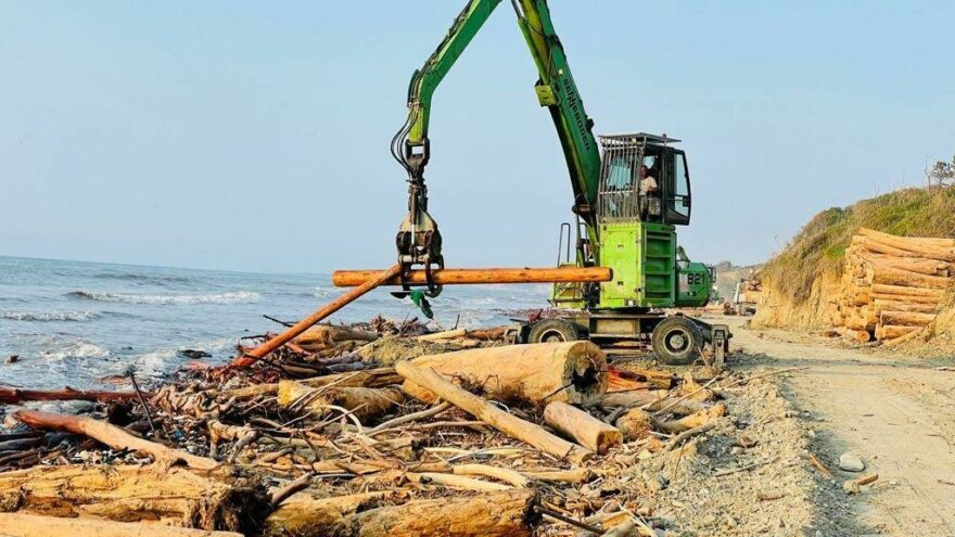 Sel bölgesinde 90 bin tomruk toplandı