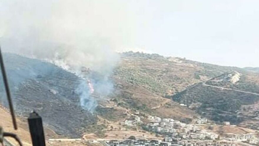 İzmir’de orman yangın