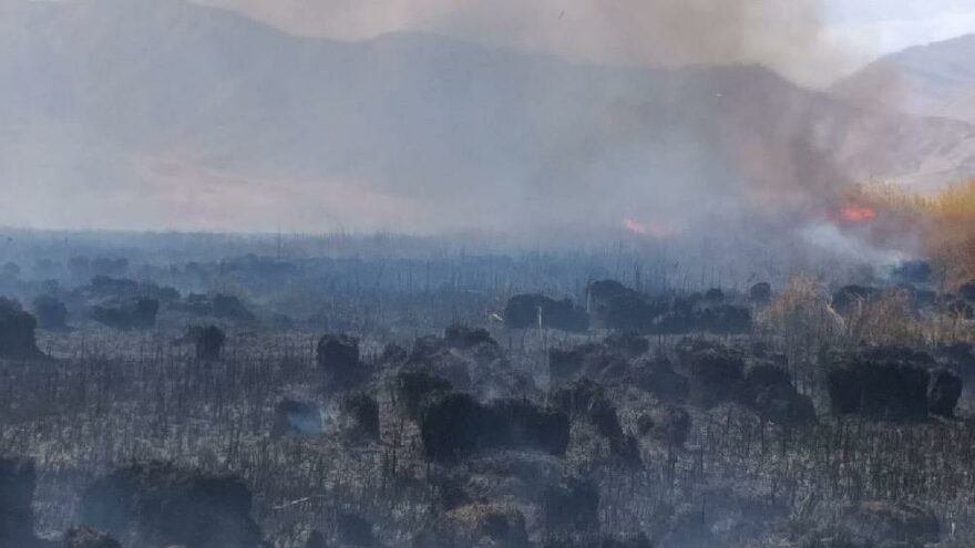 Doğunun kuş cenneti alev alev yanıyor