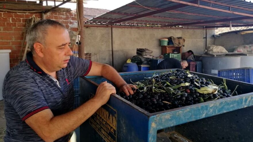 Zeytinyağında oyun: ‘Türk malı’ olarak piyasaya sürülüyor