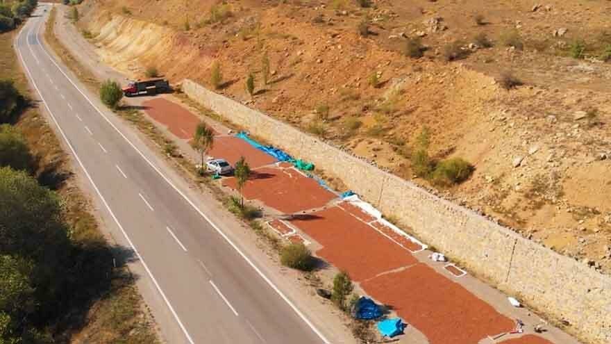 Fındığı kurutmak için güneşli illere gidiyorlar