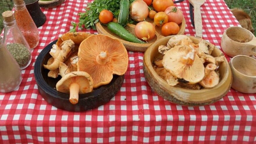 Son 15 günde 35 kişi yedikleri mantardan zehirlendi