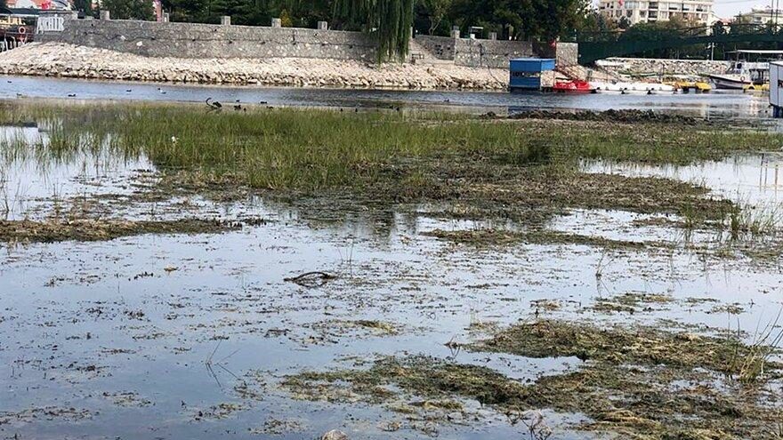 Beyşehir Gölü’nün sazlıkları ‘koruma’ adı altında kesildi