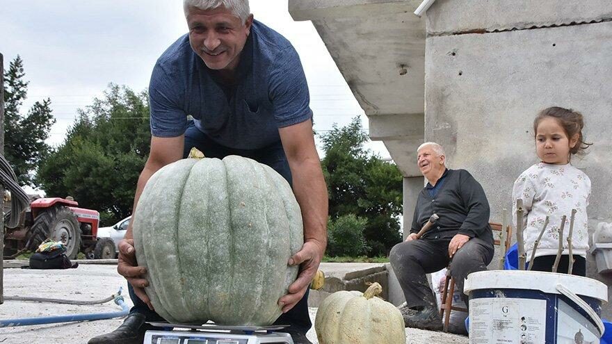 Bahçesinde 50 kiloluk kabak yetiştirdi! Sırrı gübresinde saklı