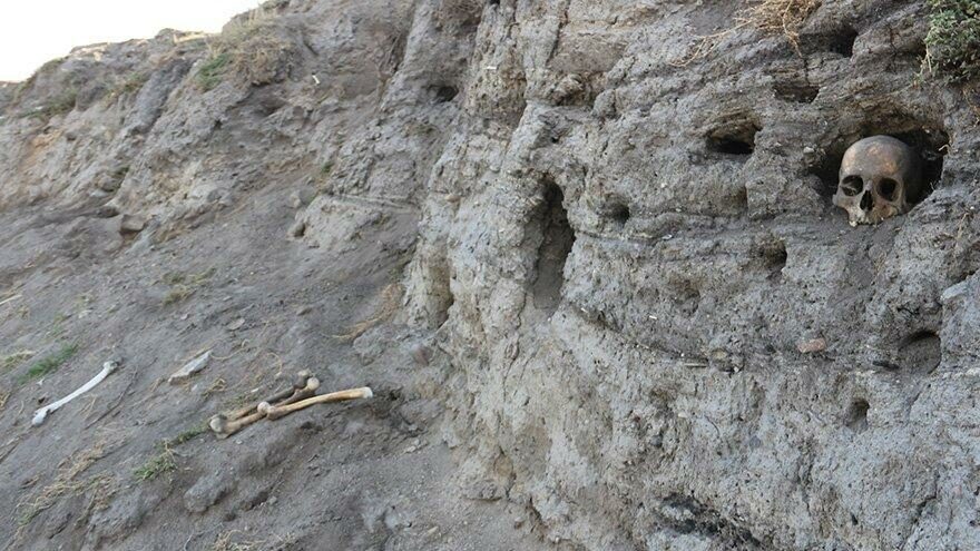 Değirmenler Höyüğü’nde korkutan görüntü! Kafatası ve kemikler çıkıyor