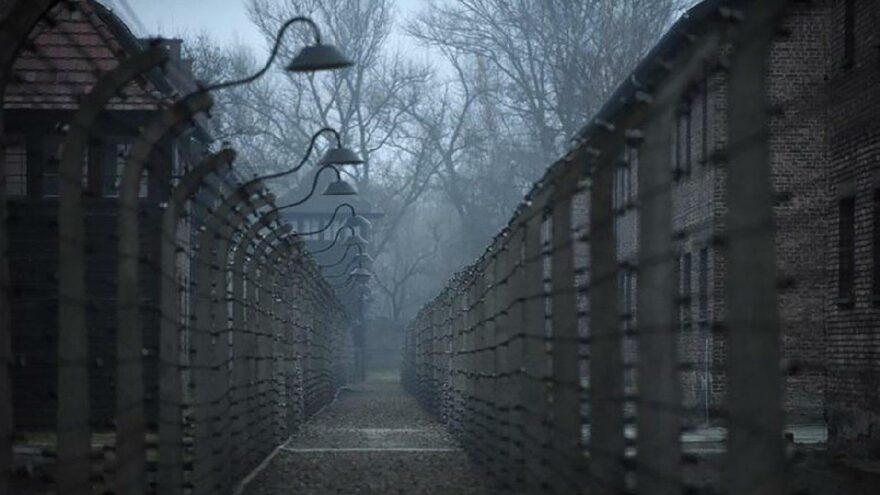 Firar eden 96 yaşındaki Nazi davası sanığı yakalandı