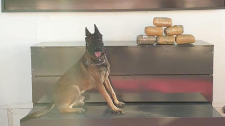 Ağrı’da 6 kilo metamfetamin maddesi ele geçirildi