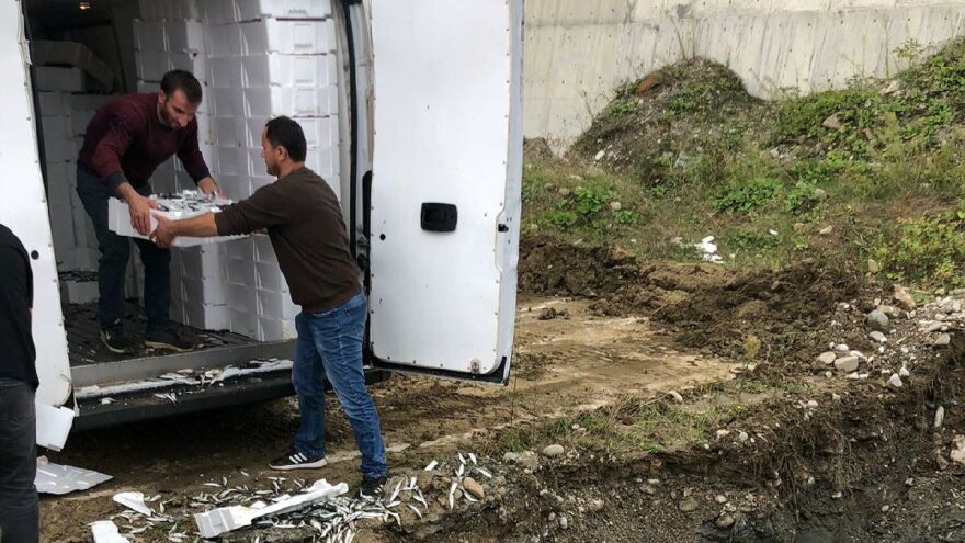 5 ton balık imha edildi