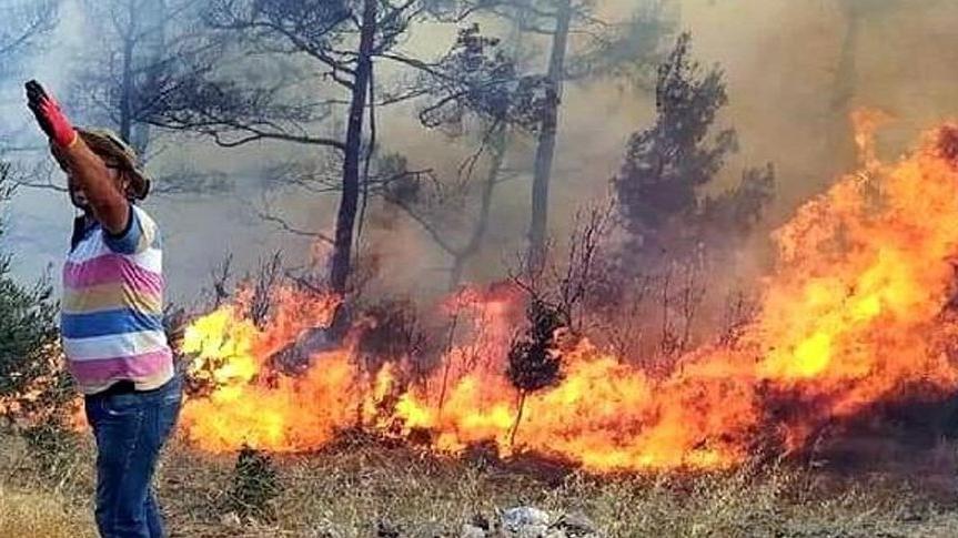 Sayıştay: Muğla orman yangınlarında ihmal var