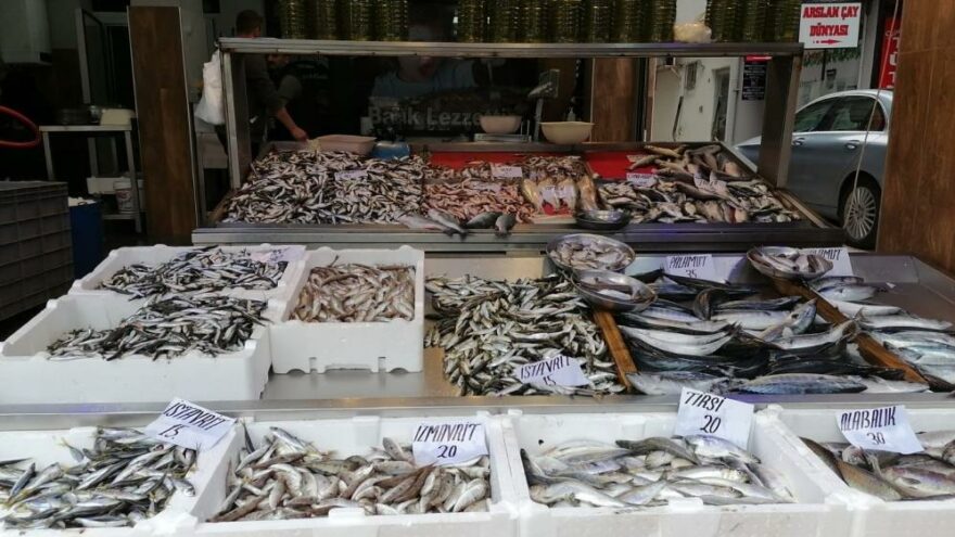 Denizde balık azaldı, fiyatlar arttı