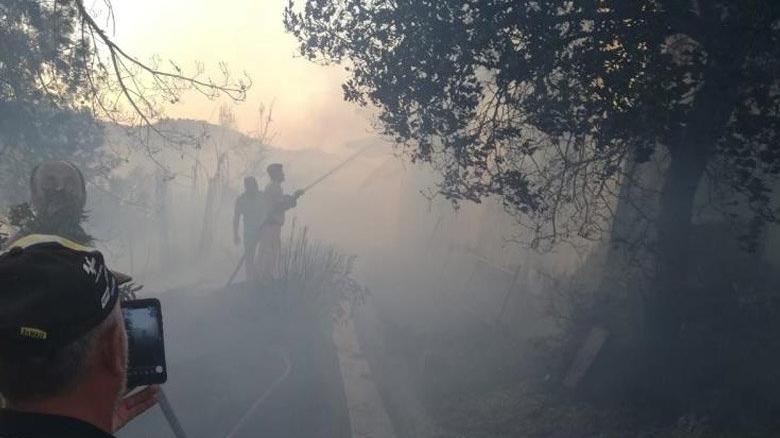 Hatay’da orman yangını