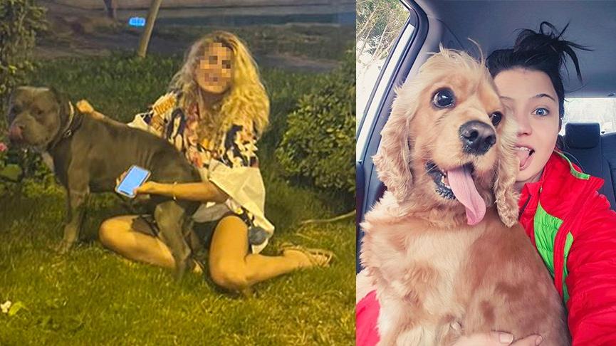 Tasmasız dolaştırılan pitbull saldırdığı köpeği öldürdü